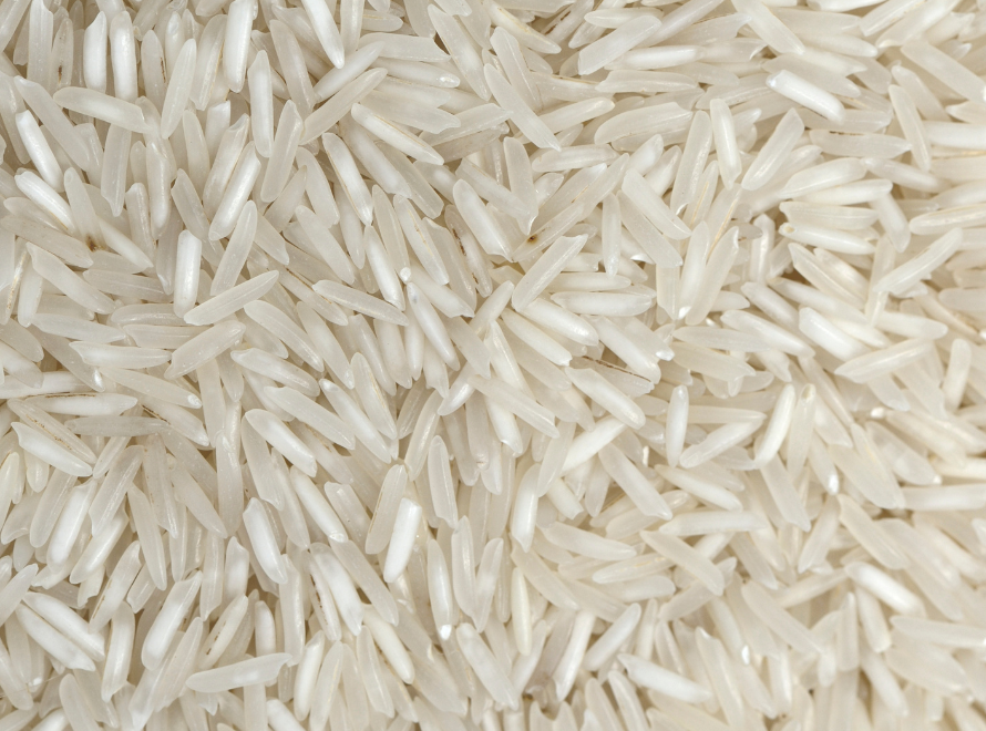 Rice Processing and Sorting Unit